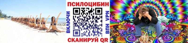 Галлюциногенные грибы прущие грибы  где найти наркотики  дарк нет состав  Курлово 
